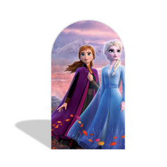 Frozen Theme Birthday Party Arch Backdrop Wall Cloth Cover