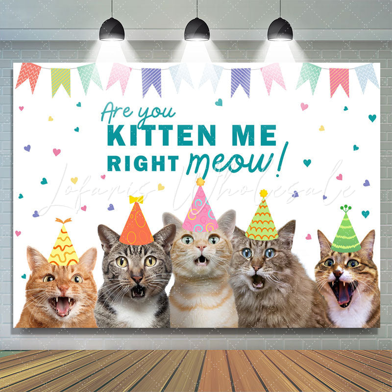 Lofaris Are You Kitten Me Right Meow Cats Birthday Backdrop