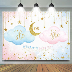 Lofaris Blue Pink He Or She Cloud Gender Reveal Backdrop