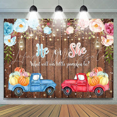 Lofaris He or She Car Board Photoshoot Backdrop for Baby Shower