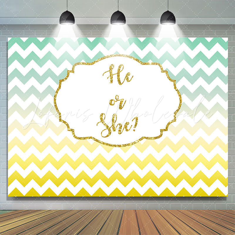 Lofaris He Or She Gradient Wave Stripe Gender Reveal Backdrop