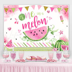 Lofaris One in A Melon Summer Watermelon 1st Birthday Backdrop