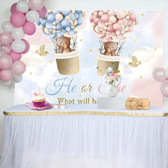 Lofaris Pink Blue Cloud Bear Boho Gender Reveal Backdrop