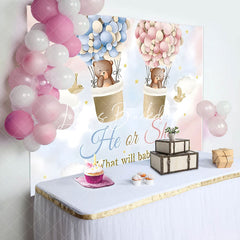 Lofaris Pink Blue Cloud Bear Boho Gender Reveal Backdrop