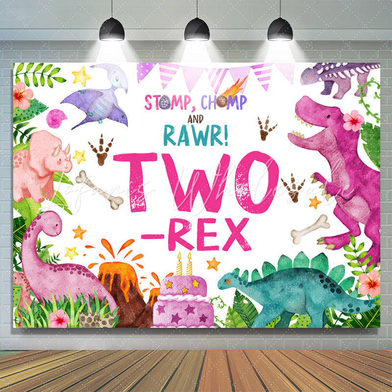 Lofaris Pink Stomp Chomp Rawr Two Rex 2nd Birthday Backdrop