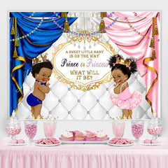 Lofaris Prince Or Princess What Will It Be Baby Shower Backdrop