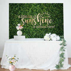 Lofaris Spring Little Ray Of Sunshine Baby Shower Backdrop