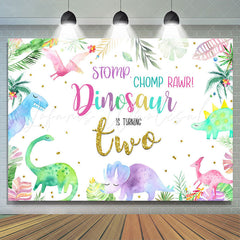 Lofaris Stomp Chomp Rawr Dinosaur Is Turning Two Birthday Backdrop