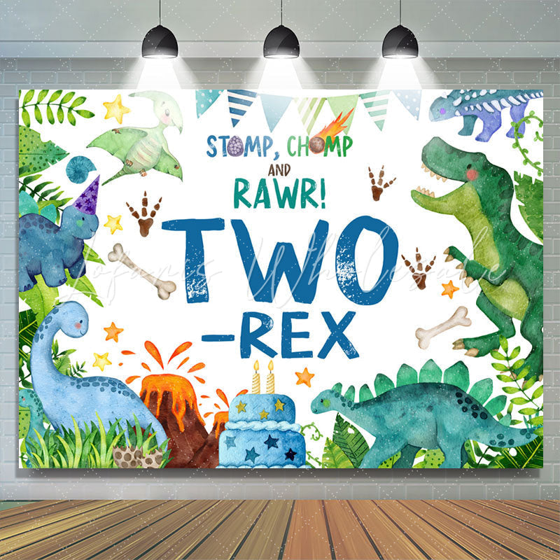 Lofaris Stomp Chomp Rawr Two Rex 2nd Birthday Backdrop